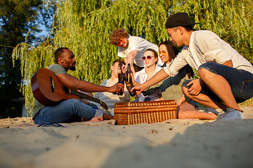 Image showing Group of friends clinking beer glasses during picnic at the beach. Lifestyle, friendship, having fun, weekend and resting concept.