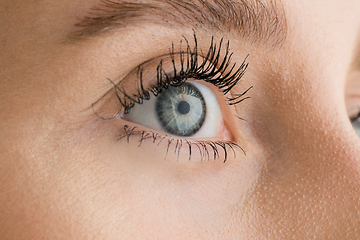 Image showing Close up of face of beautiful caucasian young woman, focus on eyes