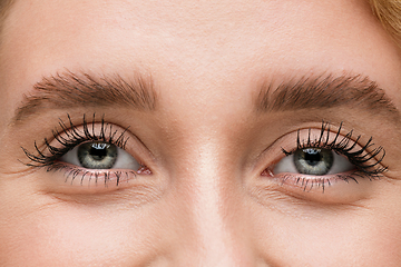 Image showing Close up of face of beautiful caucasian young woman, focus on eyes