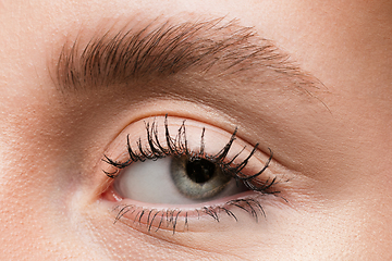 Image showing Close up of face of beautiful caucasian young woman, focus on eyes