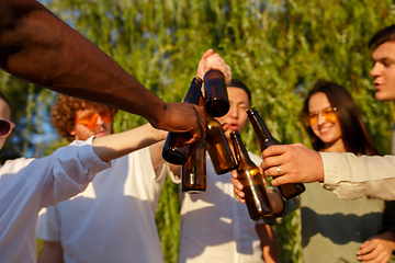 Image showing Group of friends clinking beer glasses during picnic at the beach. Lifestyle, friendship, having fun, weekend and resting concept.