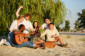 Image showing Group of friends clinking beer glasses during picnic at the beach. Lifestyle, friendship, having fun, weekend and resting concept.
