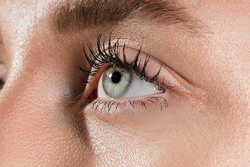 Image showing Close up of face of beautiful caucasian young woman, focus on eyes