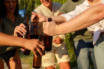 Image showing Group of friends clinking beer glasses during picnic at the beach. Lifestyle, friendship, having fun, weekend and resting concept.