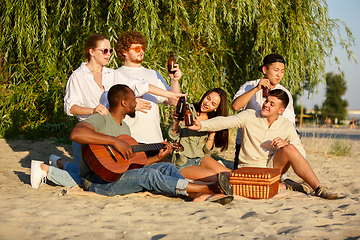 Image showing Group of friends clinking beer glasses during picnic at the beach. Lifestyle, friendship, having fun, weekend and resting concept.