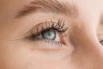 Image showing Close up of face of beautiful caucasian young woman, focus on eyes