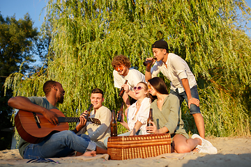 Image showing Group of friends clinking beer glasses during picnic at the beach. Lifestyle, friendship, having fun, weekend and resting concept.