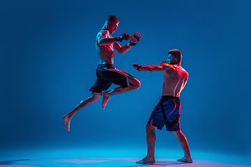 Image showing MMA. Two professional fighters punching or boxing isolated on blue studio background in neon