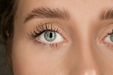 Image showing Close up of face of beautiful caucasian young woman, focus on eyes