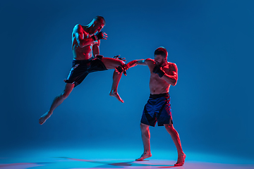 Image showing MMA. Two professional fighters punching or boxing isolated on blue studio background in neon