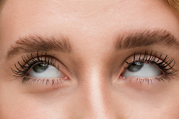 Image showing Close up of face of beautiful caucasian young woman, focus on eyes