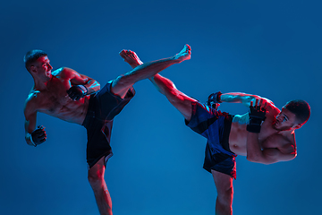 Image showing MMA. Two professional fighters punching or boxing isolated on blue studio background in neon