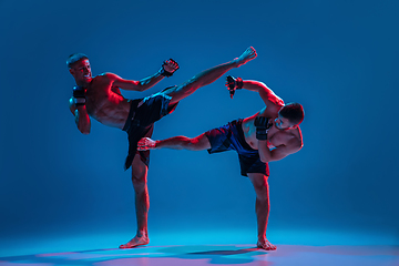 Image showing MMA. Two professional fighters punching or boxing isolated on blue studio background in neon