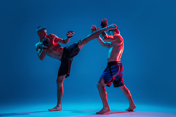 Image showing MMA. Two professional fighters punching or boxing isolated on blue studio background in neon