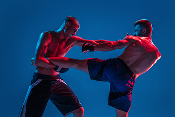 Image showing MMA. Two professional fighters punching or boxing isolated on blue studio background in neon