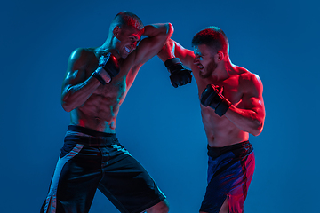 Image showing MMA. Two professional fighters punching or boxing isolated on blue studio background in neon