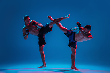 Image showing MMA. Two professional fighters punching or boxing isolated on blue studio background in neon
