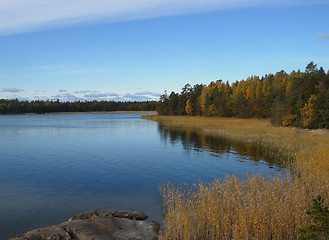 Image showing View over shore with reed