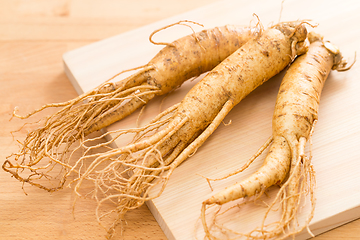 Image showing Korean fresh ginseng on wood background