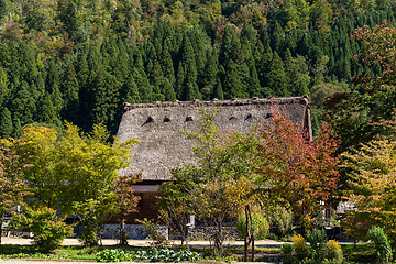 Image showing Japanese Historic Villages in Shirakawago