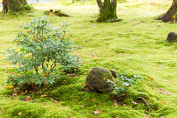 Image showing Japanese statue