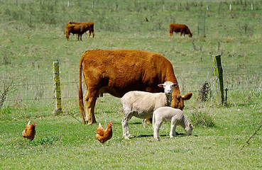 Image showing the farmyard