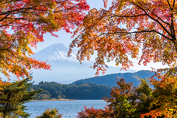 Image showing Mt. Fuji, Japan from Kawaguchi Lake in the autumn season.