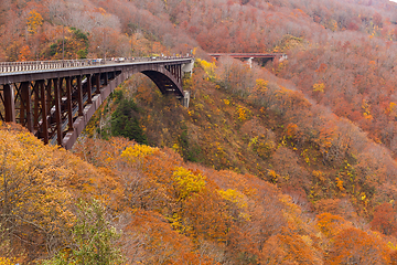 Image showing Jogakura Ohashi Bridge in autumn 