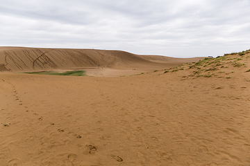 Image showing Tottori Sand Dunes