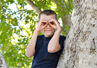 Image showing boy in a tree