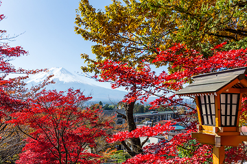 Image showing Mount Fuji and maple tree