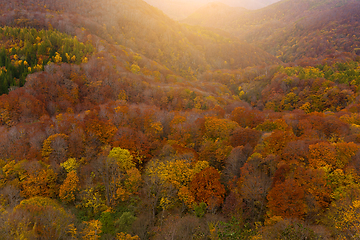 Image showing Autumn landscape with sunlight