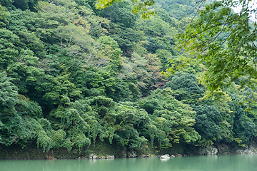 Image showing Lake in arashiyama, Japan