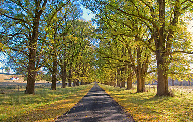 Image showing autumn country road