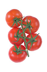 Image showing tomatoes