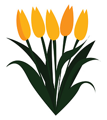 Image showing Yellow tulip flowers in spring print vector on white background