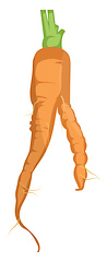 Image showing Orange cartoon carrot vector illustration of vegetables on white