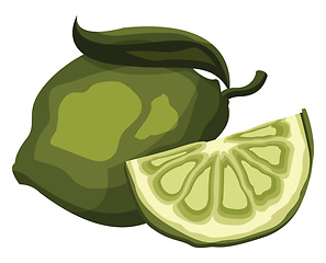 Image showing Green lime fruit with a slice vector illustration on white backg