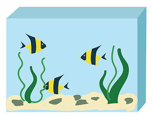 Image showing Aquarium with three fishes vector illustration on white backgrou
