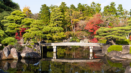 Image showing Autumn garden in Japan