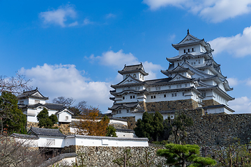 Image showing Traditional Himeji castle and park