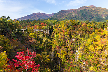 Image showing Bridge passing though Naruko Gorge