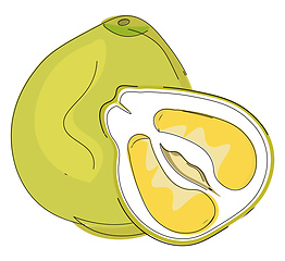 Image showing Clipart of a whole and half-cut pomelo fruit vector or color ill