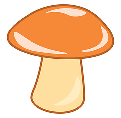 Image showing Mushroom vector or color illustration