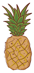 Image showing A cartoon pineapple whole fruit with green leaves sweet and spin