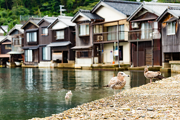 Image showing Traditional old village, Ine cho in Kyoto