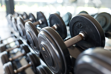 Image showing Rows of metal dumbbells on rack in the gym