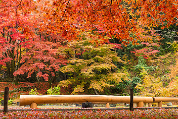 Image showing Japanese park in Autumn