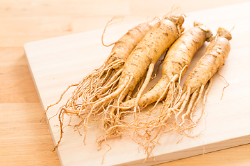 Image showing Fresh korean Ginseng over wooden background