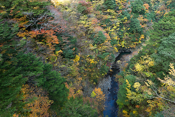 Image showing Natural landscape in autumn